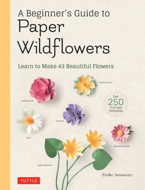 Beginnerampapos Guide Paper Wildflowers