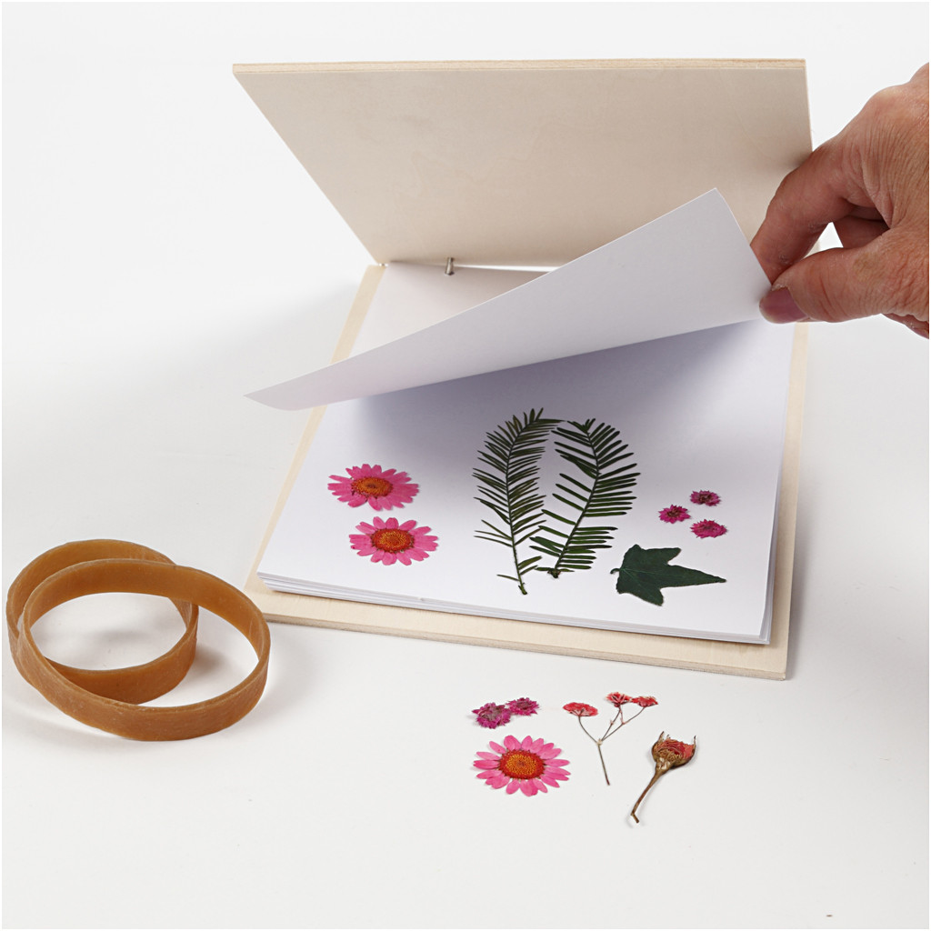 Blomsterpresser Krydsfiner Med Papir