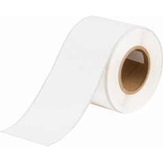 Brady Paper Continuous Labels For