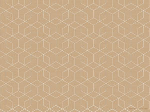 Duni Papir Dækkeserviet 30x40 Woven Ecoecho 250 Stk 199148