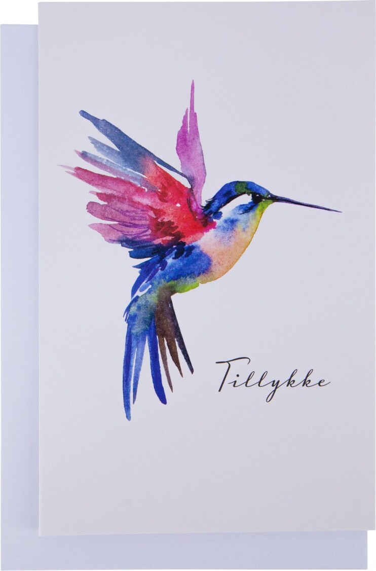 Kort Med Kuvert 11x17 Kolibri Scanseason