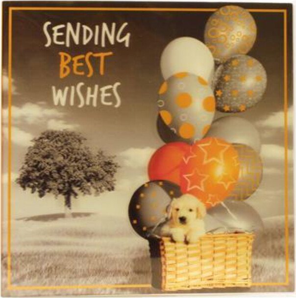 Magni Kort Best Wishes Hundehvalp
