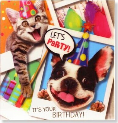 Magni Kort Let Party Dyr