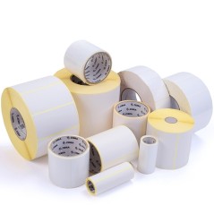 Zebra Label Paper 105x152mm