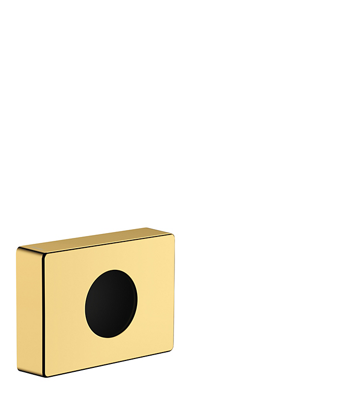 Hansgrohe Addstoris Posedispenser 140x100mm Poleret Guld Optik
