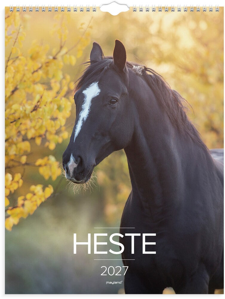 Vægkalender 2027 Heste Mayland