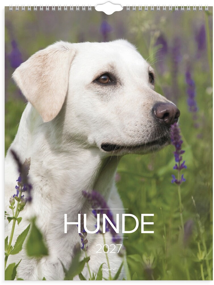 Vægkalender 2027 Hunde Mayland