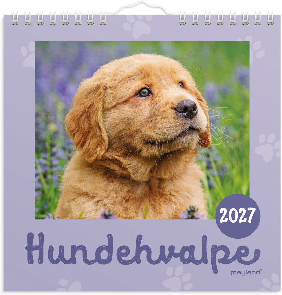 Vægkalender 2027 Hundehvalpe Mayland