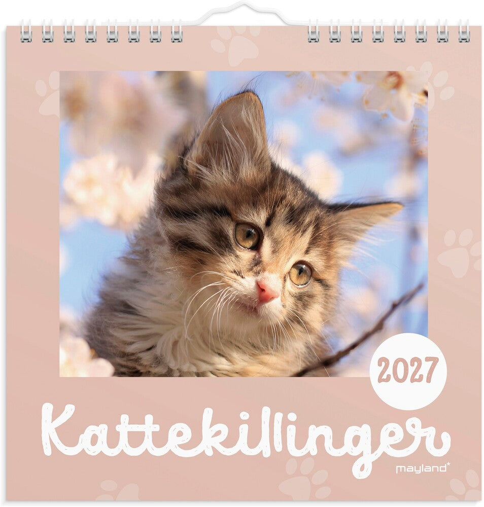 Vægkalender 2027 Kattekillinger Mayland
